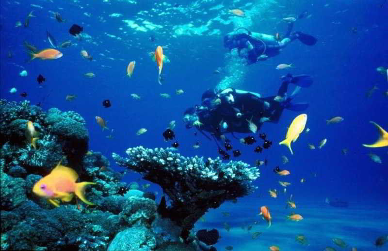 Dive Thru Resort Panglao City Exterior foto
